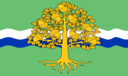 Nottinghamshire (image for) Nottinghamshire